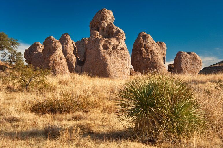 14. New Mexico